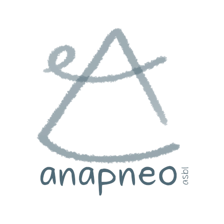 logo anapneo